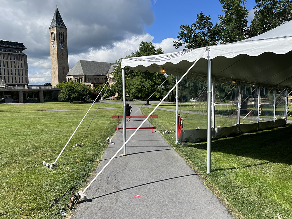 Tent guy-lines remain unprotected on the Cornell Arts Quad